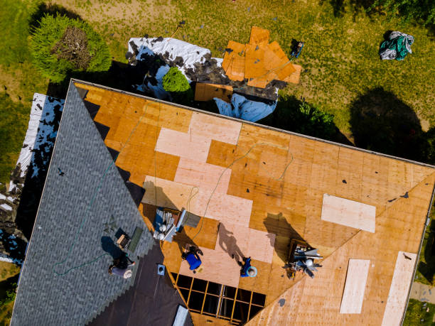 Best Roof Waterproofing Services  in Nyssa, OR